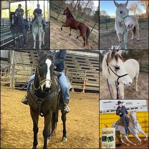 Meet your Posher, Kelsey